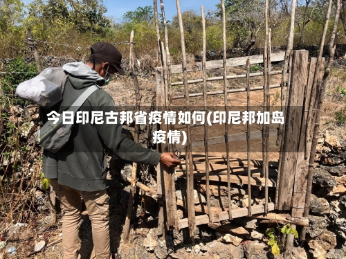 今日印尼古邦省疫情如何(印尼邦加岛疫情)-第1张图片
