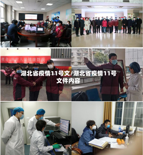 湖北省疫情11号文/湖北省疫情11号文件内容-第2张图片