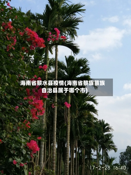 海南省黎水县疫情(海南省黎族苗族自治县属于哪个市)-第2张图片