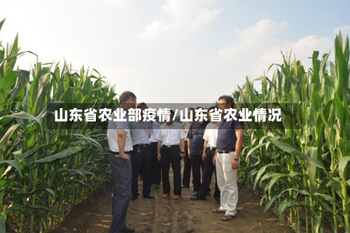 山东省农业部疫情/山东省农业情况-第3张图片