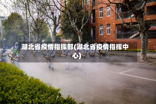 湖北省疫情指挥部(湖北省疫情指挥中心)-第3张图片