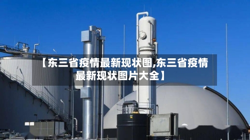 【东三省疫情最新现状图,东三省疫情最新现状图片大全】-第2张图片