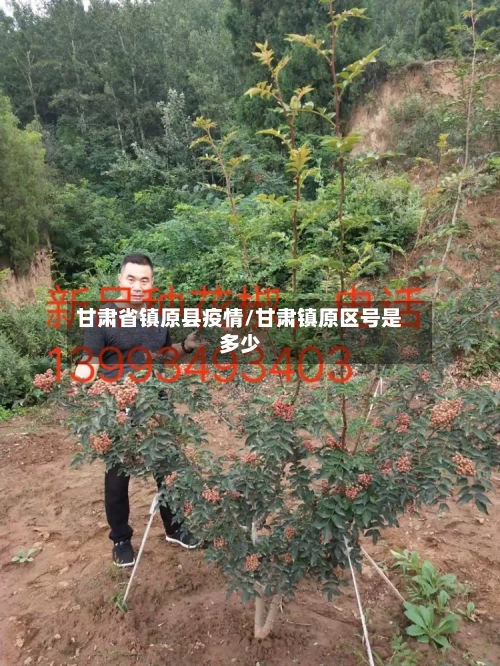 甘肃省镇原县疫情/甘肃镇原区号是多少-第2张图片