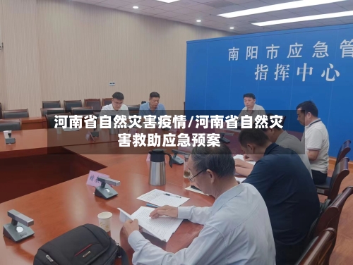 河南省自然灾害疫情/河南省自然灾害救助应急预案-第2张图片