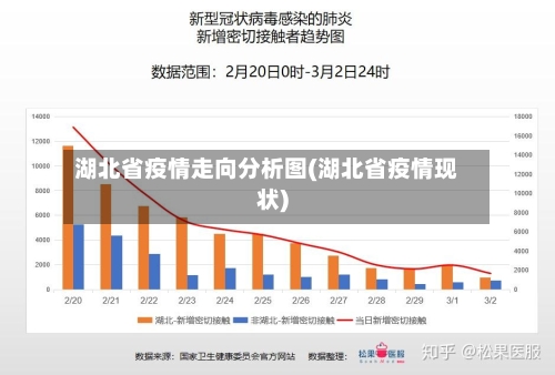 湖北省疫情走向分析图(湖北省疫情现状)-第1张图片