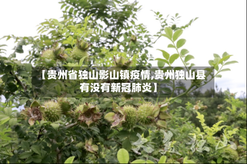 【贵州省独山影山镇疫情,贵州独山县有没有新冠肺炎】-第2张图片