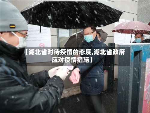 【湖北省对待疫情的态度,湖北省政府应对疫情措施】-第2张图片
