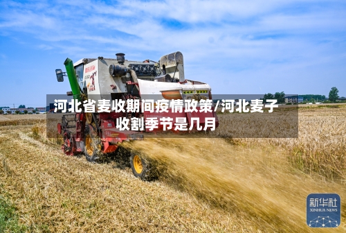 河北省麦收期间疫情政策/河北麦子收割季节是几月-第2张图片