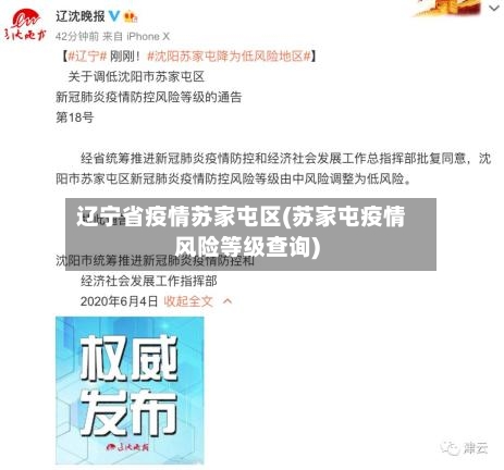 辽宁省疫情苏家屯区(苏家屯疫情风险等级查询)-第1张图片