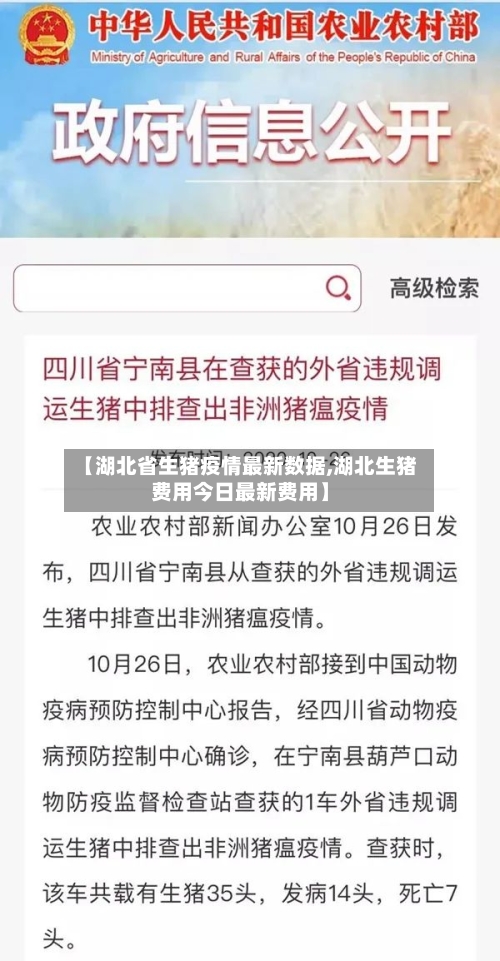 【湖北省生猪疫情最新数据,湖北生猪费用今日最新费用】-第3张图片