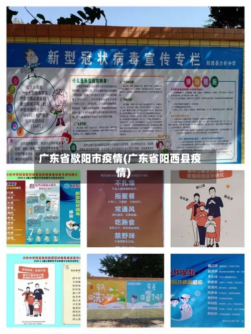 广东省歇阳市疫情(广东省阳西县疫情)-第1张图片