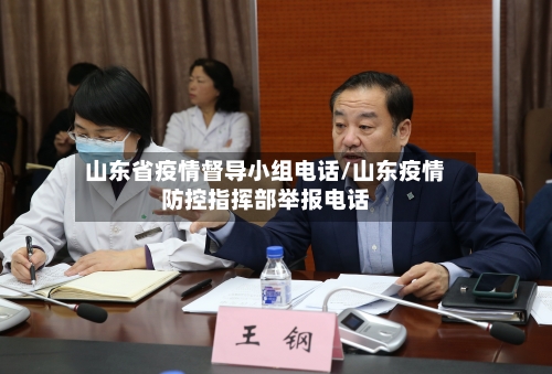 山东省疫情督导小组电话/山东疫情防控指挥部举报电话-第1张图片