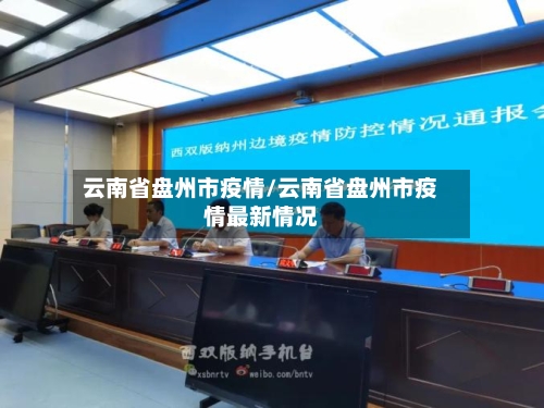 云南省盘州市疫情/云南省盘州市疫情最新情况-第2张图片