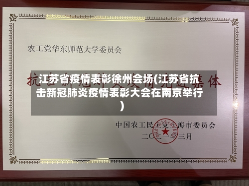 江苏省疫情表彰徐州会场(江苏省抗击新冠肺炎疫情表彰大会在南京举行)-第1张图片