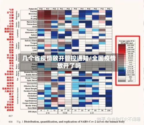 几个省疫情放开管控通知/全国疫情放开了吗-第1张图片