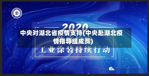 中央对湖北省疫情支持(中央赴湖北疫情指导组成员)-第1张图片