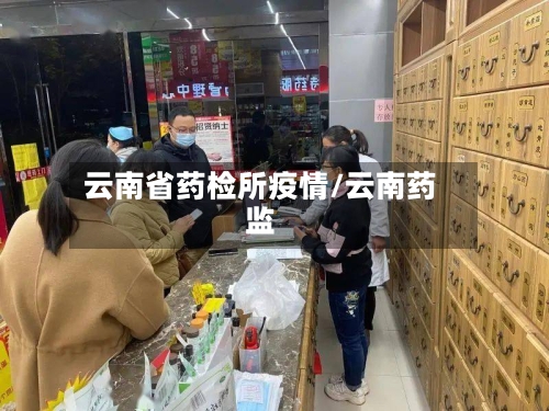 云南省药检所疫情/云南药监-第1张图片