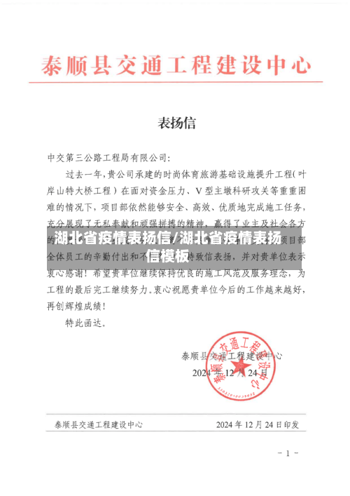 湖北省疫情表扬信/湖北省疫情表扬信模板-第1张图片