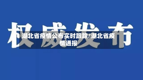 湖北省疫情公布实时跟踪/湖北省疫情通报-第1张图片