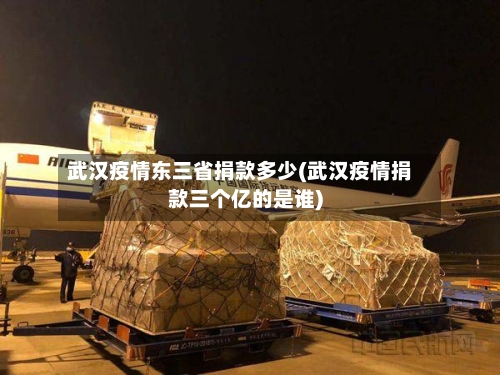 武汉疫情东三省捐款多少(武汉疫情捐款三个亿的是谁)-第1张图片