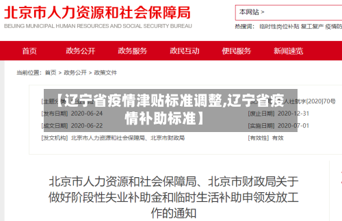 【辽宁省疫情津贴标准调整,辽宁省疫情补助标准】-第1张图片