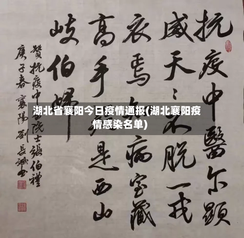 湖北省襄阳今日疫情通报(湖北襄阳疫情感染名单)-第2张图片