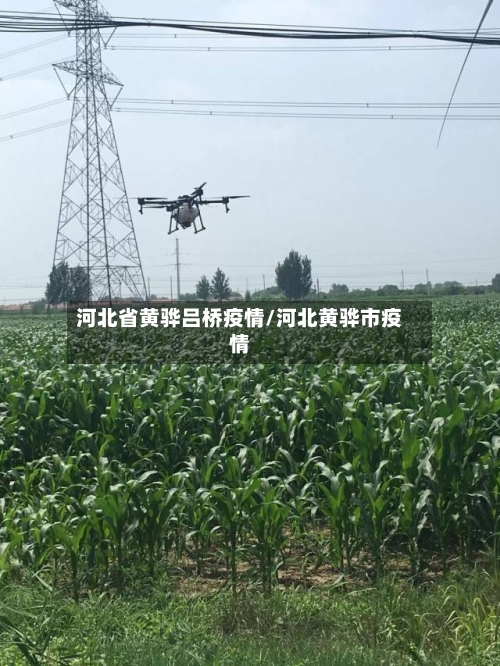 河北省黄骅吕桥疫情/河北黄骅市疫情-第2张图片