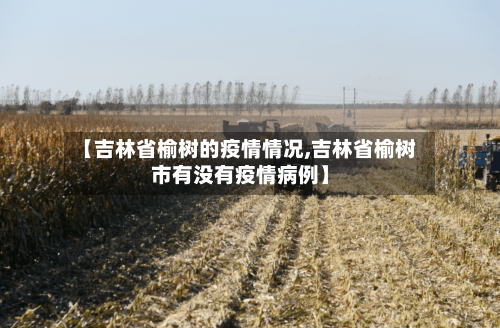 【吉林省榆树的疫情情况,吉林省榆树市有没有疫情病例】-第1张图片