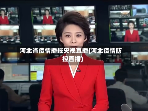 河北省疫情播报央视直播(河北疫情防控直播)-第2张图片