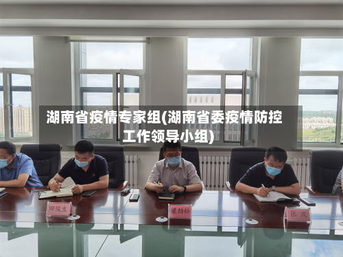 湖南省疫情专家组(湖南省委疫情防控工作领导小组)-第1张图片