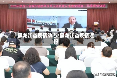 黑龙江省疫情动态/黑龙江省疫情速报-第2张图片