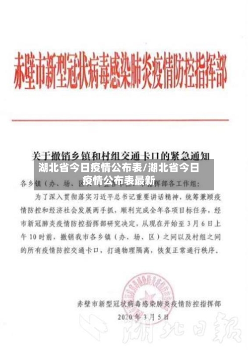 湖北省今日疫情公布表/湖北省今日疫情公布表最新-第2张图片
