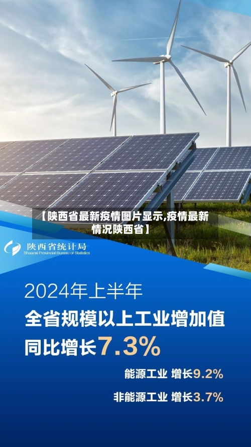 【陕西省最新疫情图片显示,疫情最新情况陕西省】-第3张图片