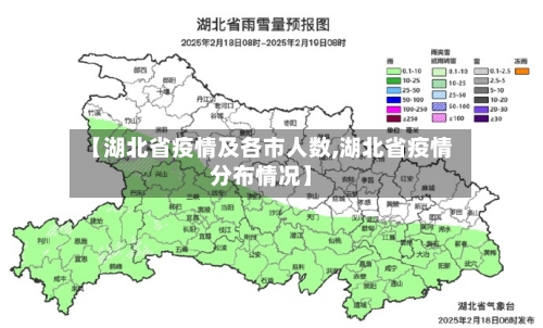 【湖北省疫情及各市人数,湖北省疫情分布情况】-第1张图片