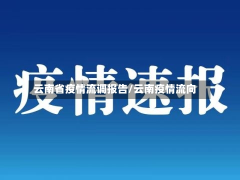 云南省疫情流调报告/云南疫情流向-第1张图片