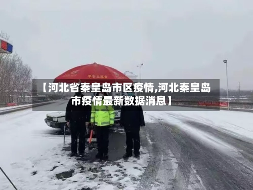 【河北省秦皇岛市区疫情,河北秦皇岛市疫情最新数据消息】-第1张图片