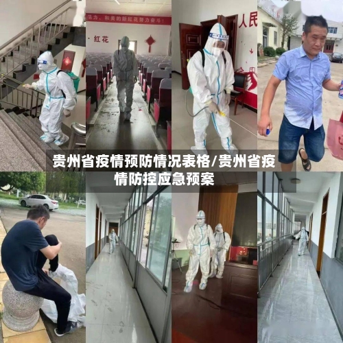 贵州省疫情预防情况表格/贵州省疫情防控应急预案-第2张图片