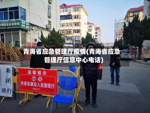 青海省应急管理厅疫情(青海省应急管理厅信息中心电话)-第3张图片
