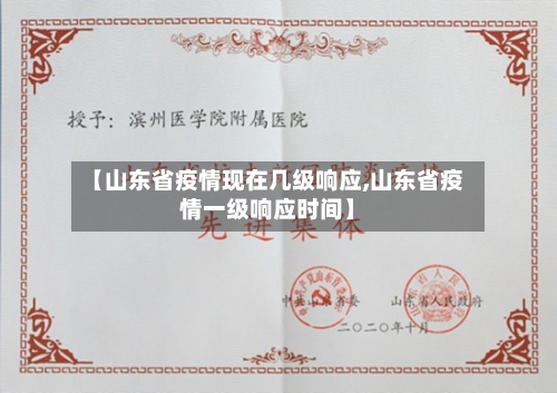 【山东省疫情现在几级响应,山东省疫情一级响应时间】-第1张图片