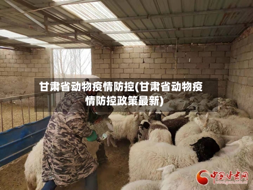 甘肃省动物疫情防控(甘肃省动物疫情防控政策最新)-第1张图片