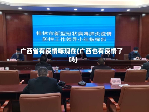 广西省有疫情嘛现在(广西也有疫情了吗)-第3张图片