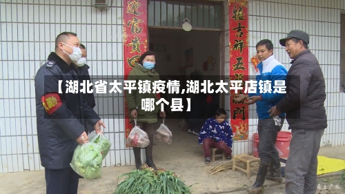 【湖北省太平镇疫情,湖北太平店镇是哪个县】-第1张图片