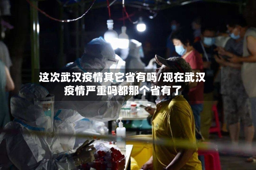 这次武汉疫情其它省有吗/现在武汉疫情严重吗都那个省有了-第2张图片