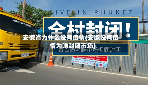 安徽省为什么没有疫情(安徽没有疫情为啥封闭市场)-第1张图片