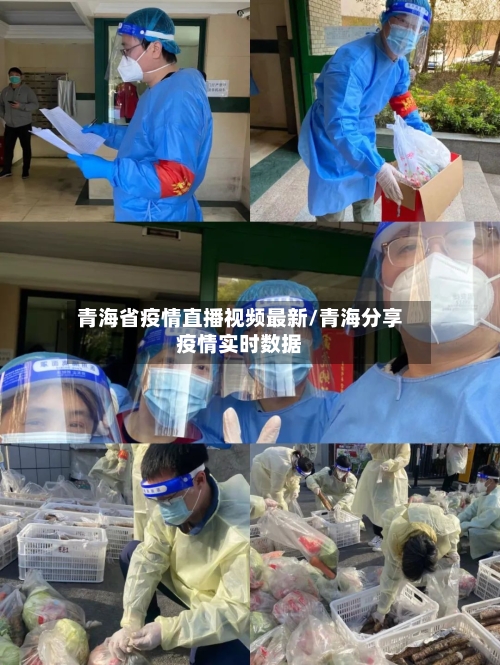 青海省疫情直播视频最新/青海分享疫情实时数据-第2张图片