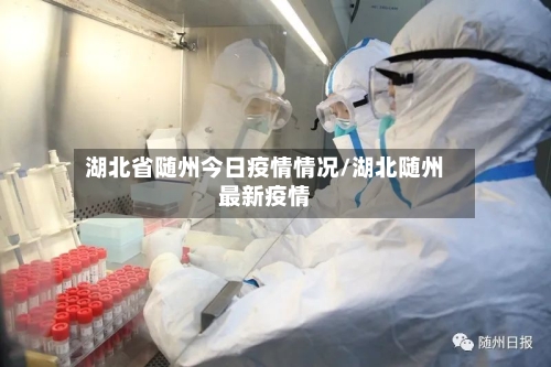 湖北省随州今日疫情情况/湖北随州最新疫情-第2张图片