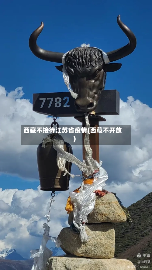 西藏不接待江苏省疫情(西藏不开放)-第3张图片