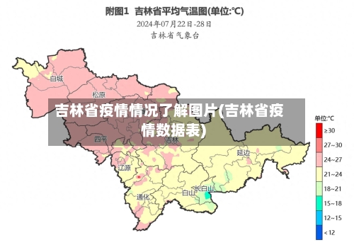 吉林省疫情情况了解图片(吉林省疫情数据表)-第2张图片