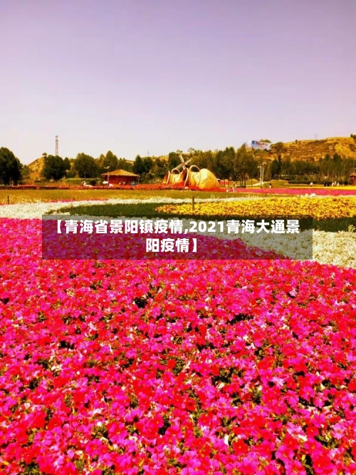 【青海省景阳镇疫情,2021青海大通景阳疫情】-第2张图片