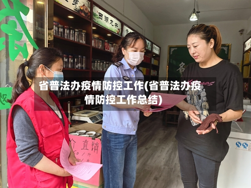 省普法办疫情防控工作(省普法办疫情防控工作总结)-第2张图片